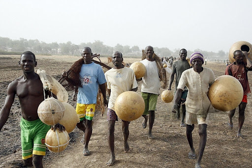 More Than a Catch: The Sacred Rituals of the Argungu Fishing Festival