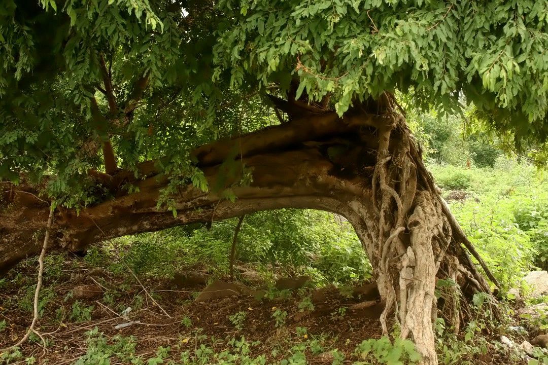 A Mountain Rooted in History and Faith 