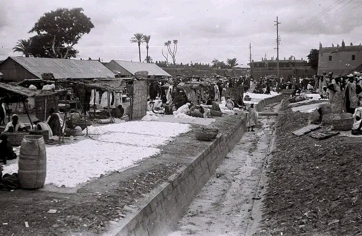 Ancient Trade Routes That Shaped Northern Nigeria’s Economy