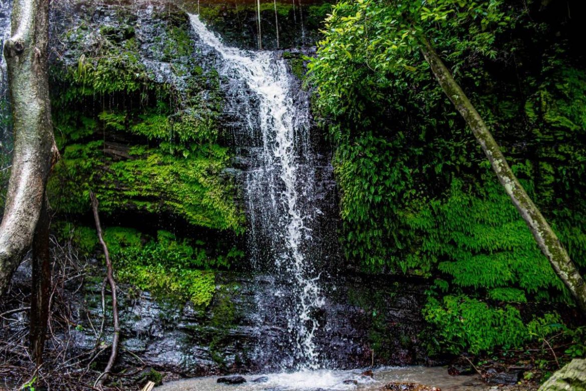 Must-See Unique Spots in Osun State (2025 Travel Guide)