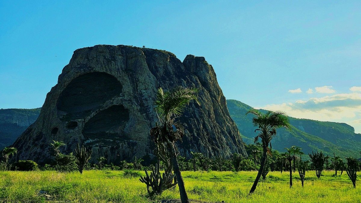 Top Activities And Adventure Experiences In Okomu National Park