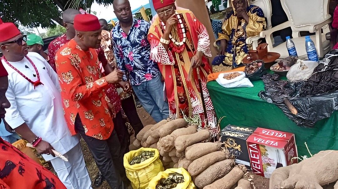 Key Rituals and Activities of The Iri Ji Festival In Enugu