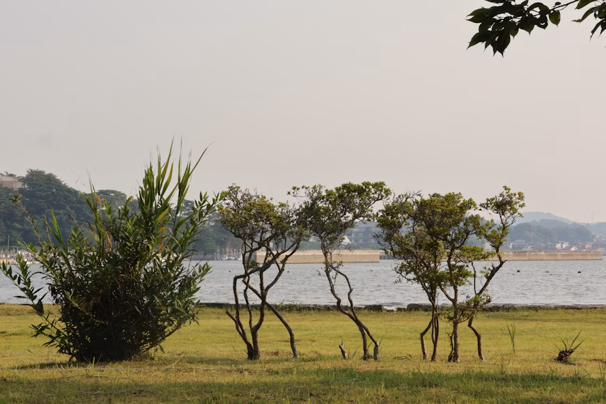 Culture, History, And Local Life In Akure