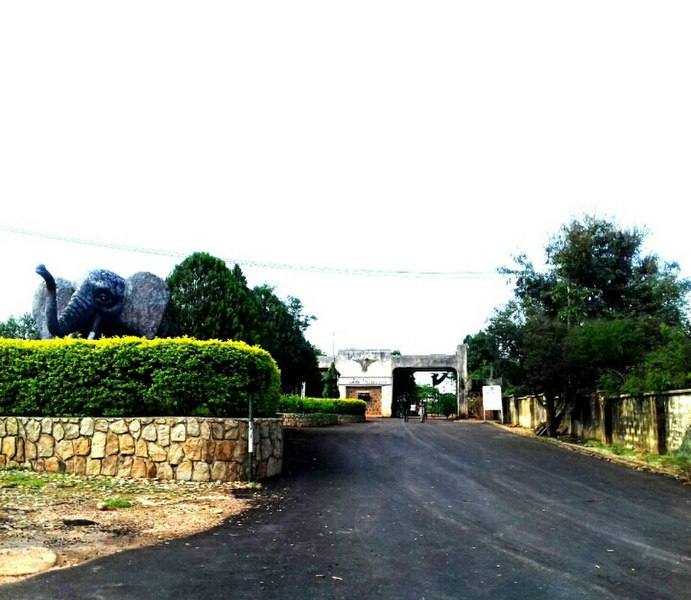 Visit Jos Wildlife Park