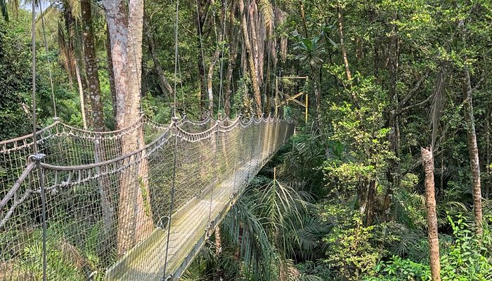 Lekki Conservation Centre – Lekki