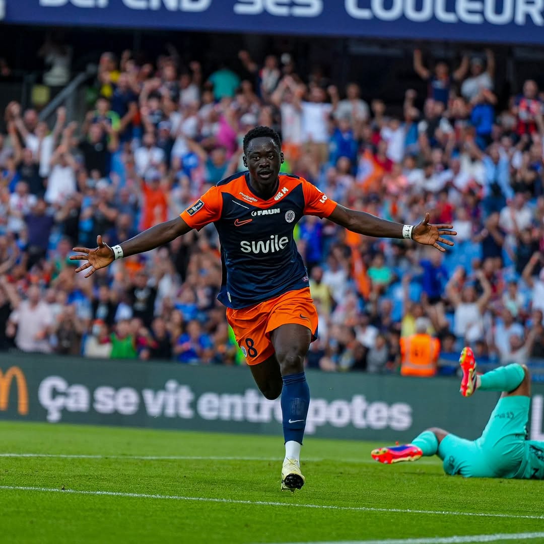 The French Chapter: Montpellier