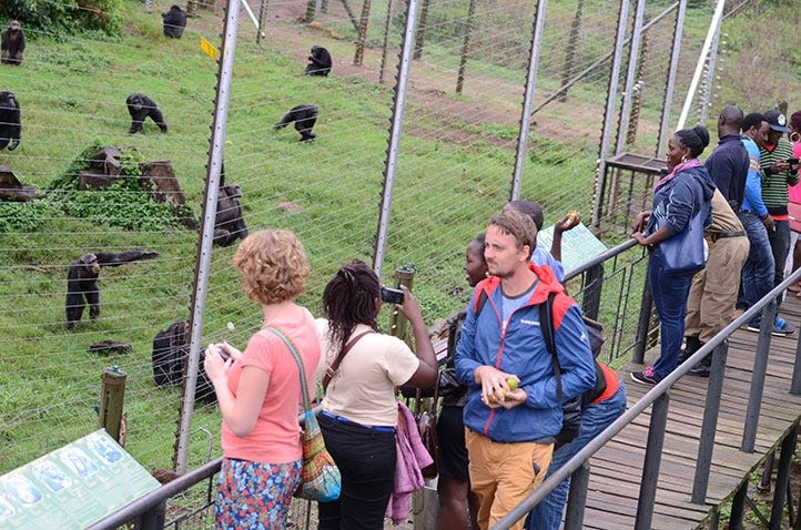 Foreign visitors exploring a park in Lagos, Nigeria
