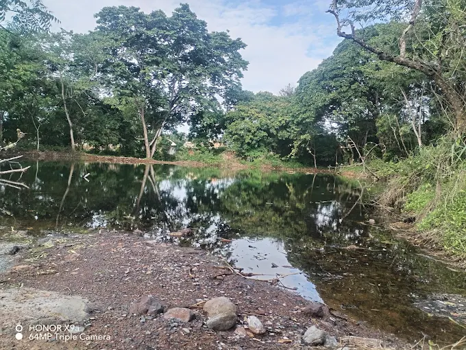 Role in Nigerian History