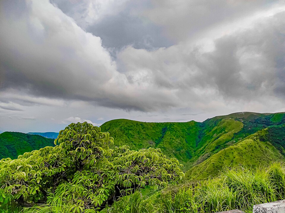 Nature and Wildlife: Obudu Ranch vs Nyungwe Forest