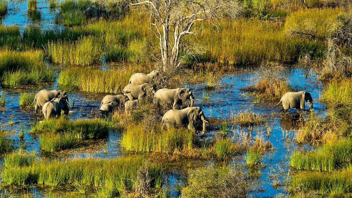  Eco Tourism in Southern Africa: Okavango Delta – Botswana