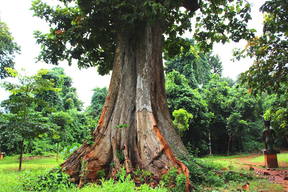Sacred Forest of Kpassè, Benin