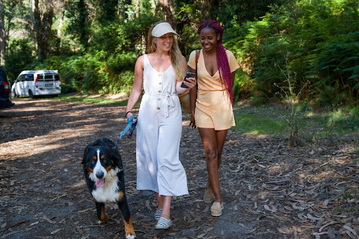 Observations Visitors Make When They Stop Trying to Tour Nigeria.
