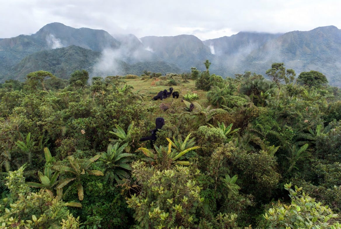 The State of Tourism Promotion in Nigeria