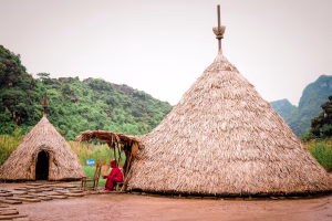 Ecotourism in Africa