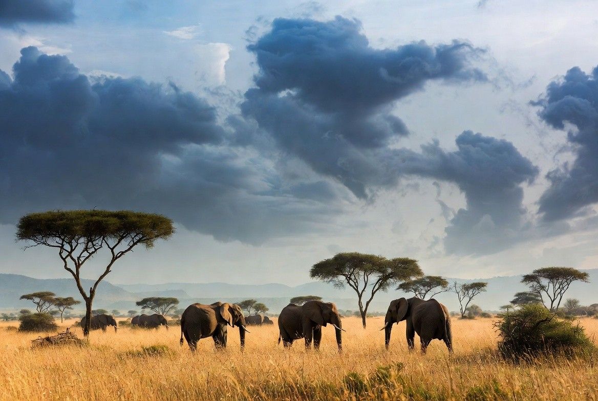 A Cultural Force on the Exhibition Floor
