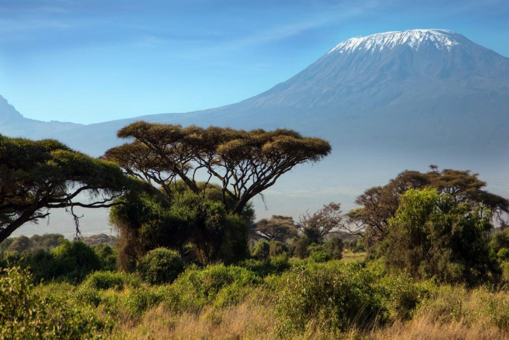 Best Time to Visit East Africa