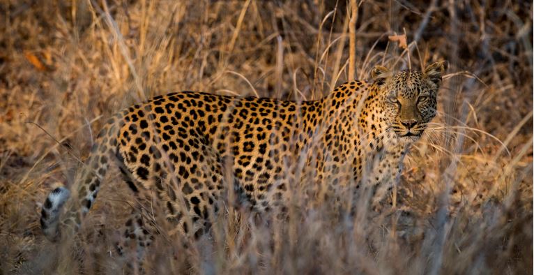 When to Visit: Seasons and What Each Offers