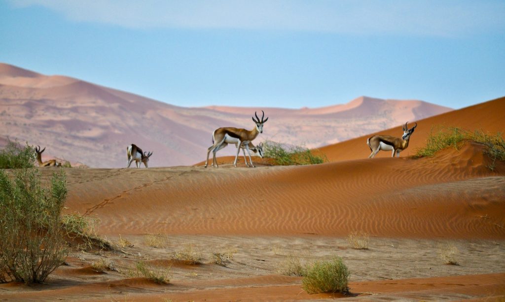 Sossusvlei Lodge, Sesriem, Namibia
