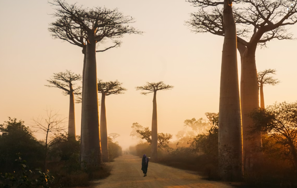 best time to visit Africa...