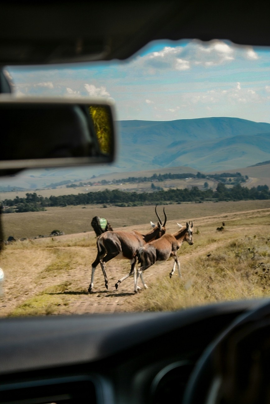 Month by Month: 2026