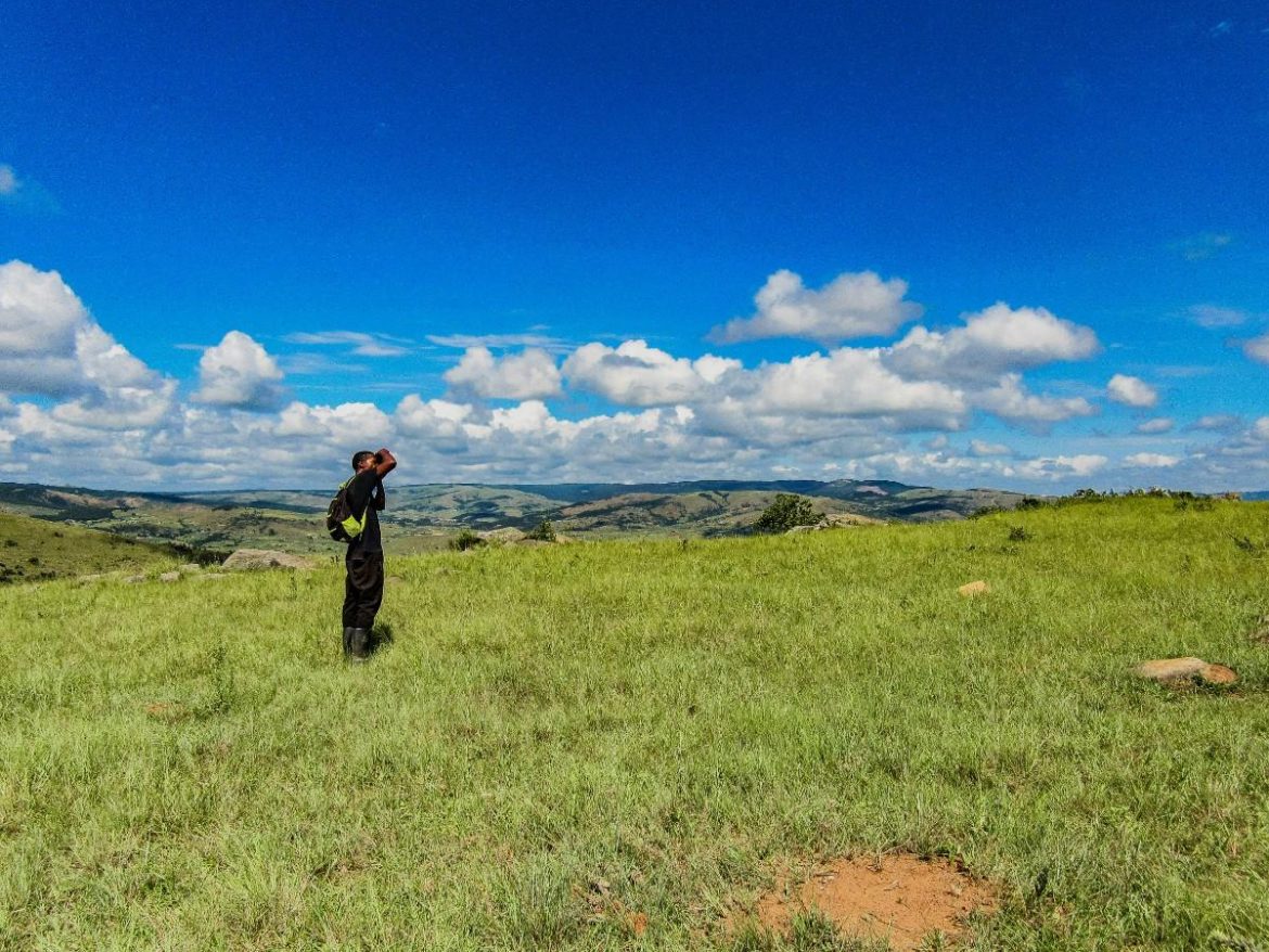 When to Visit Eswatini in 2026: A Month-by-Month Guide to Events, Wildlife and Culture