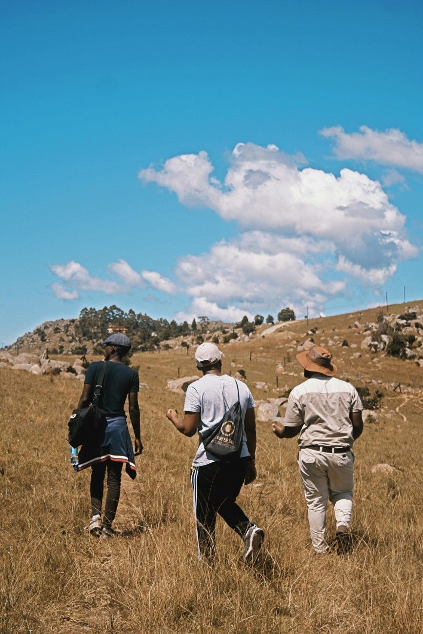 Who Should Visit When