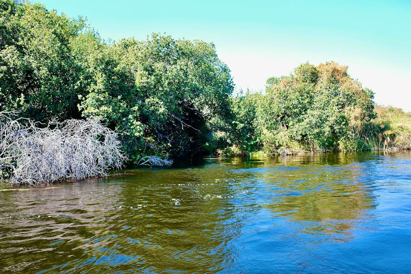 Kenya: Where the Safari Was Born