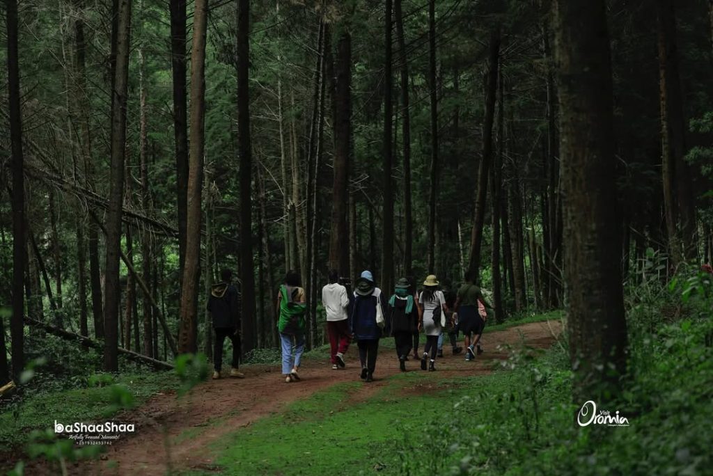 journey through Ethiopia with focus on culture and heritage