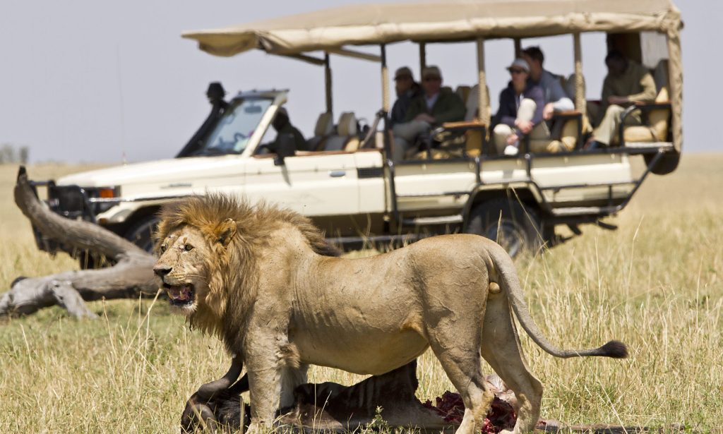 What Is Included in an African Safari Package?