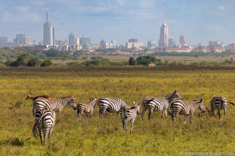 Entry Requirements: Kenya eTA in 2026