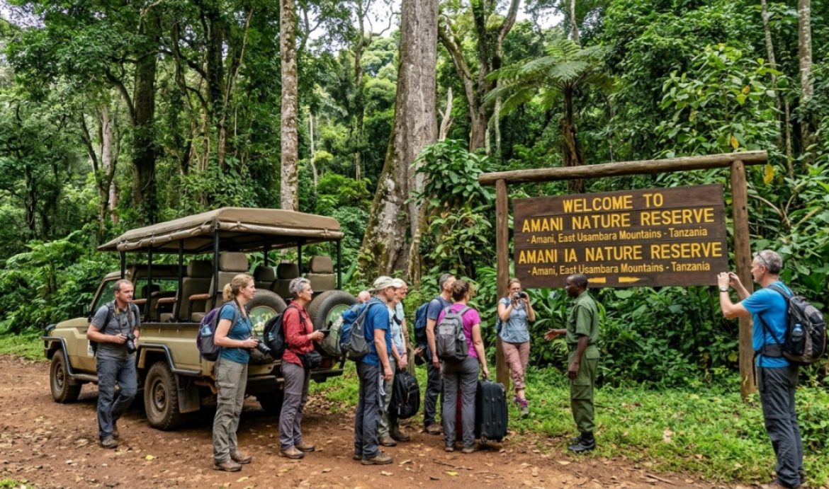 Tanzania’s Amani forest draws global attention as ecotourism gains ground