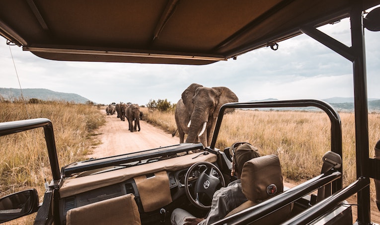 Verified 2026 National Park Entry Fees by Destination