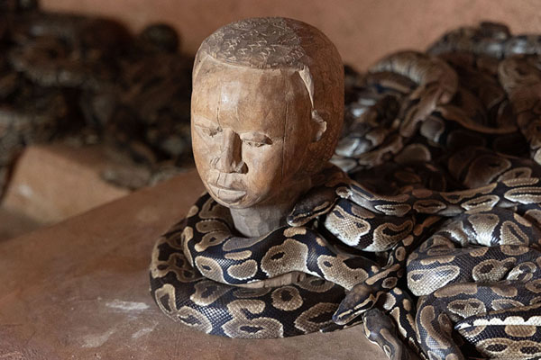 The Python Temple (Temple des Pythons)