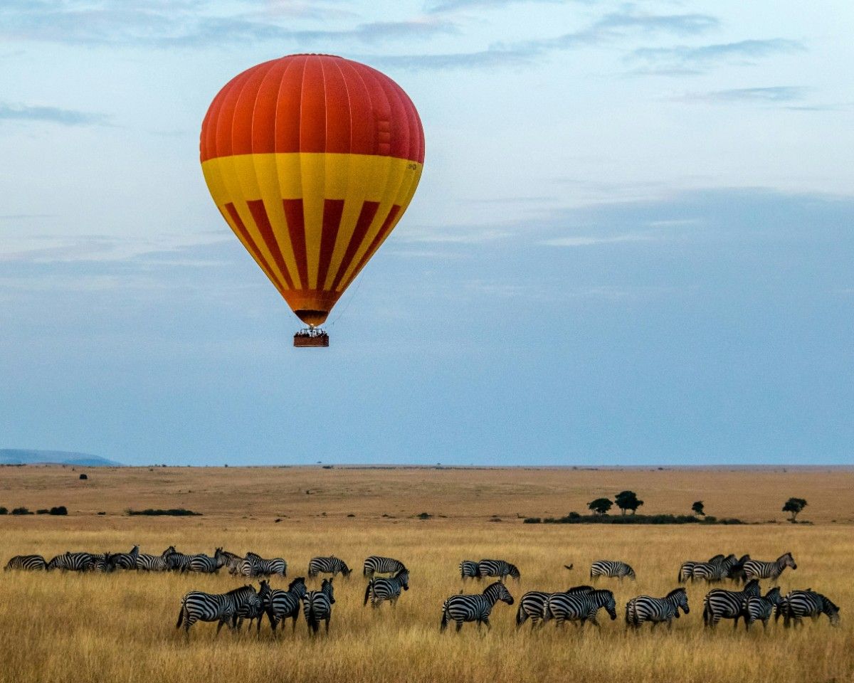 What Conservancies Deliver That Trophy Hunting Could Not