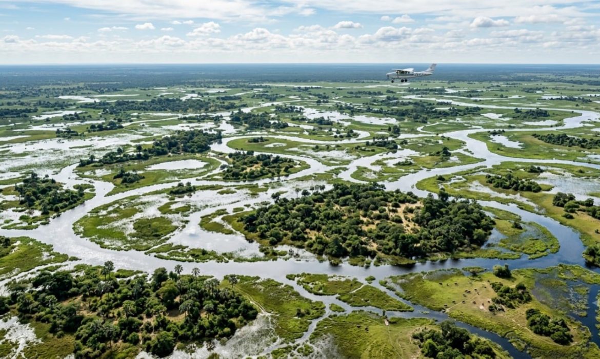 Okavango Delta 2026: A First-Timer’s Guide to Botswana’s Most Rewarding Safari