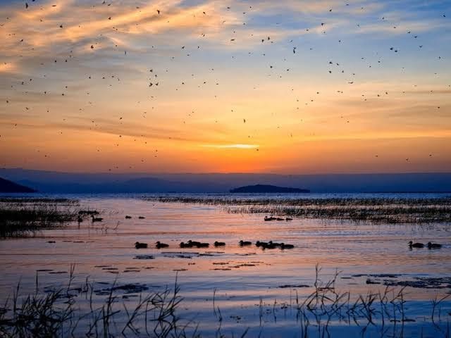 Wildlife and Avian Paradises