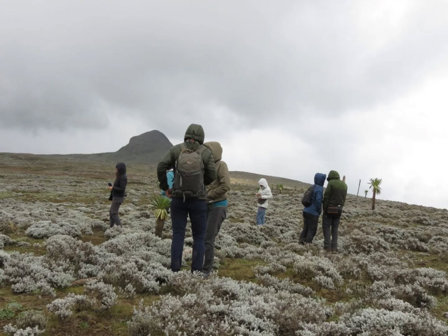 Multi-Day Expeditions