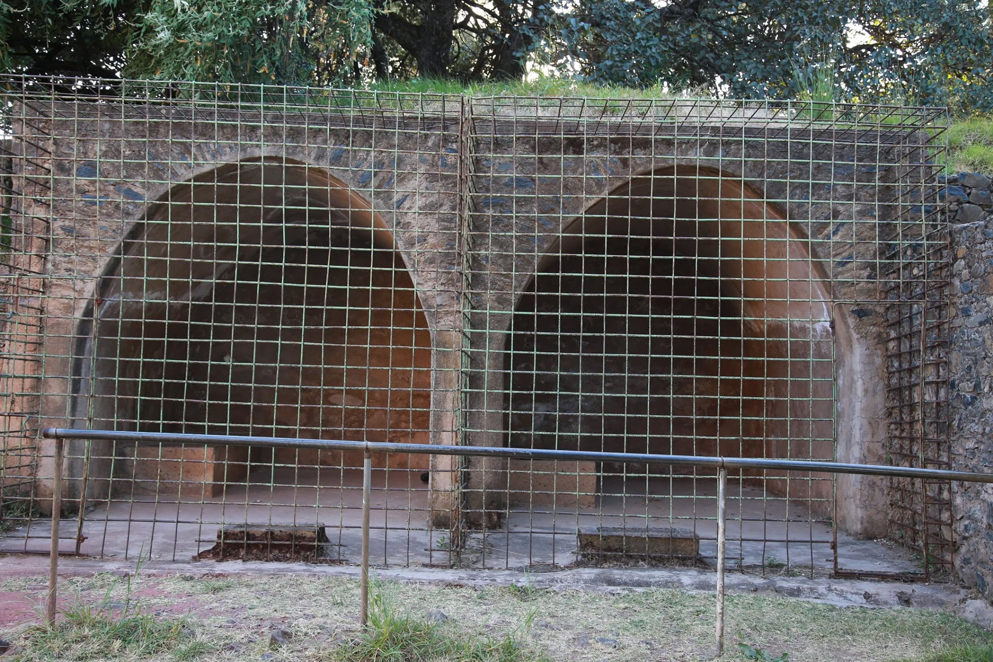 Inside the Lion Cages