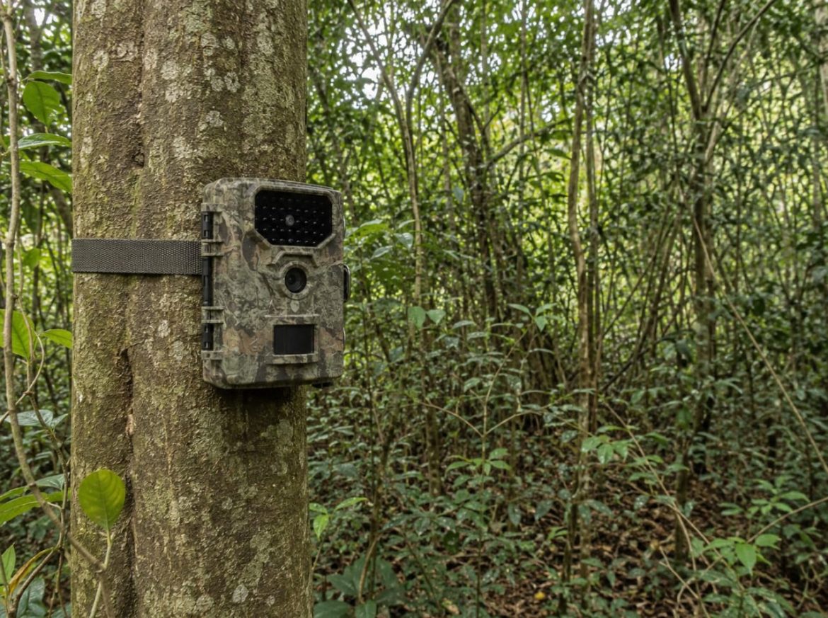 AI-Powered Anti-Poaching Tech: How Africa's Reserves Are Changing Wildlife Tourism