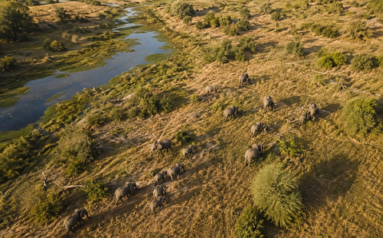 Impact on Africa's and Nigeria's Tourism Sector
