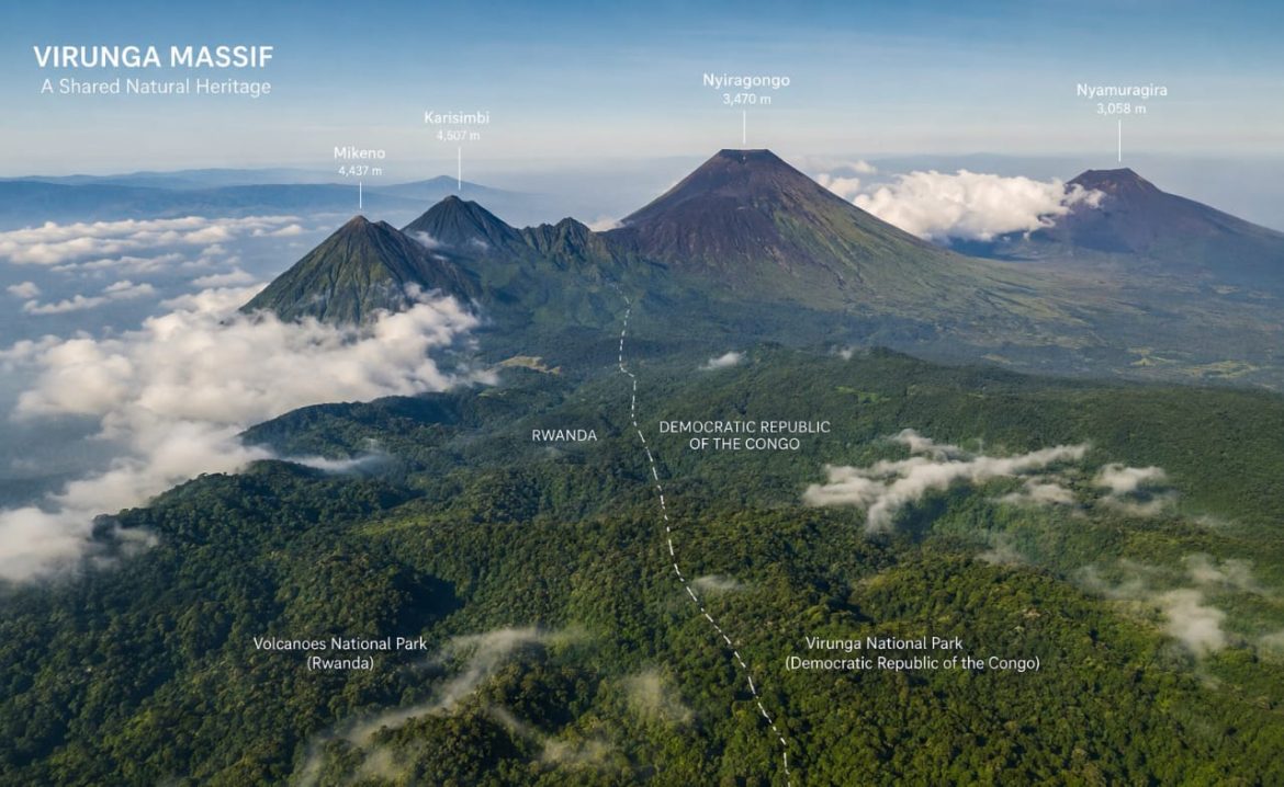 Rwanda–DRC Border Tourism: Can Peace Talks Unlock a Joint Gorilla Trekking Corridor?